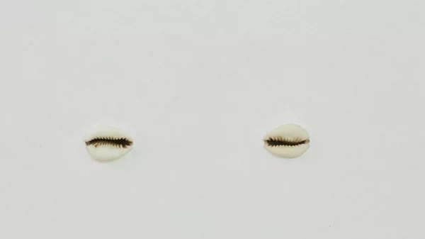 Τρεις γκαλερί σε εκτός συνόρων αναζητήσεις